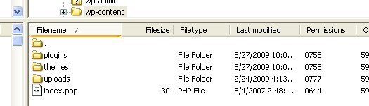 capture1 wp-contents folder