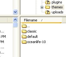 capture2 themes folder